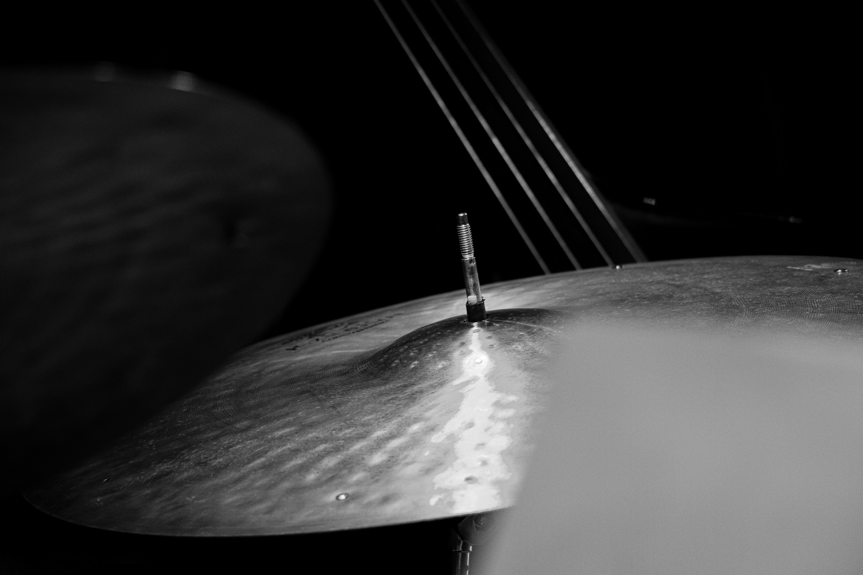 Daniel "Pipi" Piazzolla