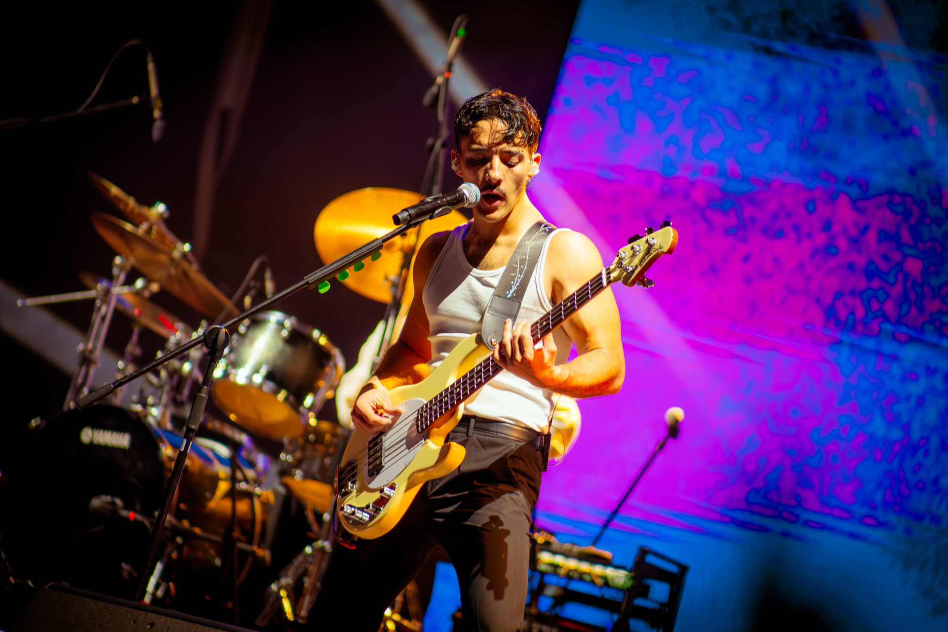 El paso de Arde Bogotá y Silvestre y La Naranja por el Simón Bolívar