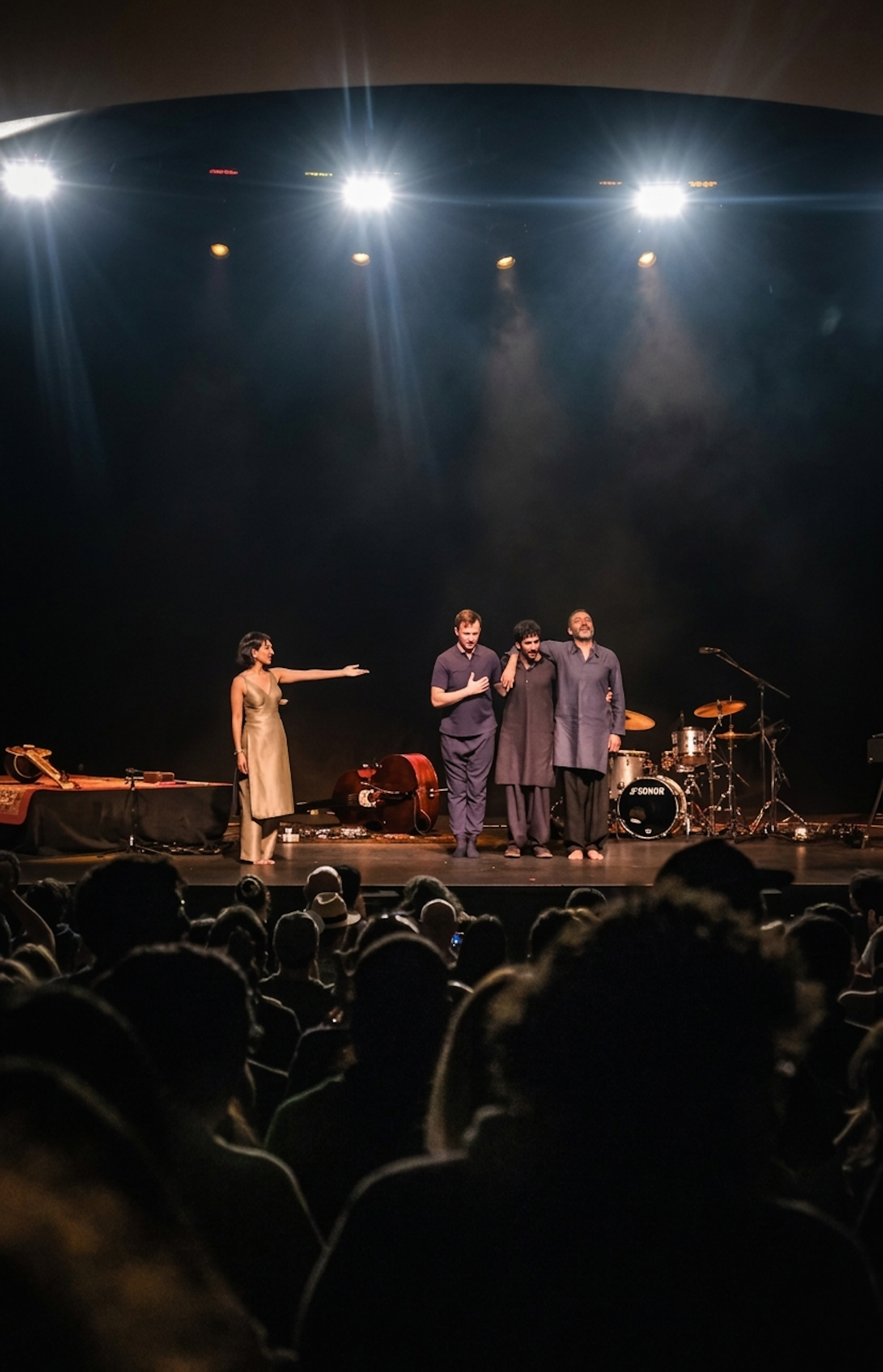 Anoushka Shankar - Concert for Santiago