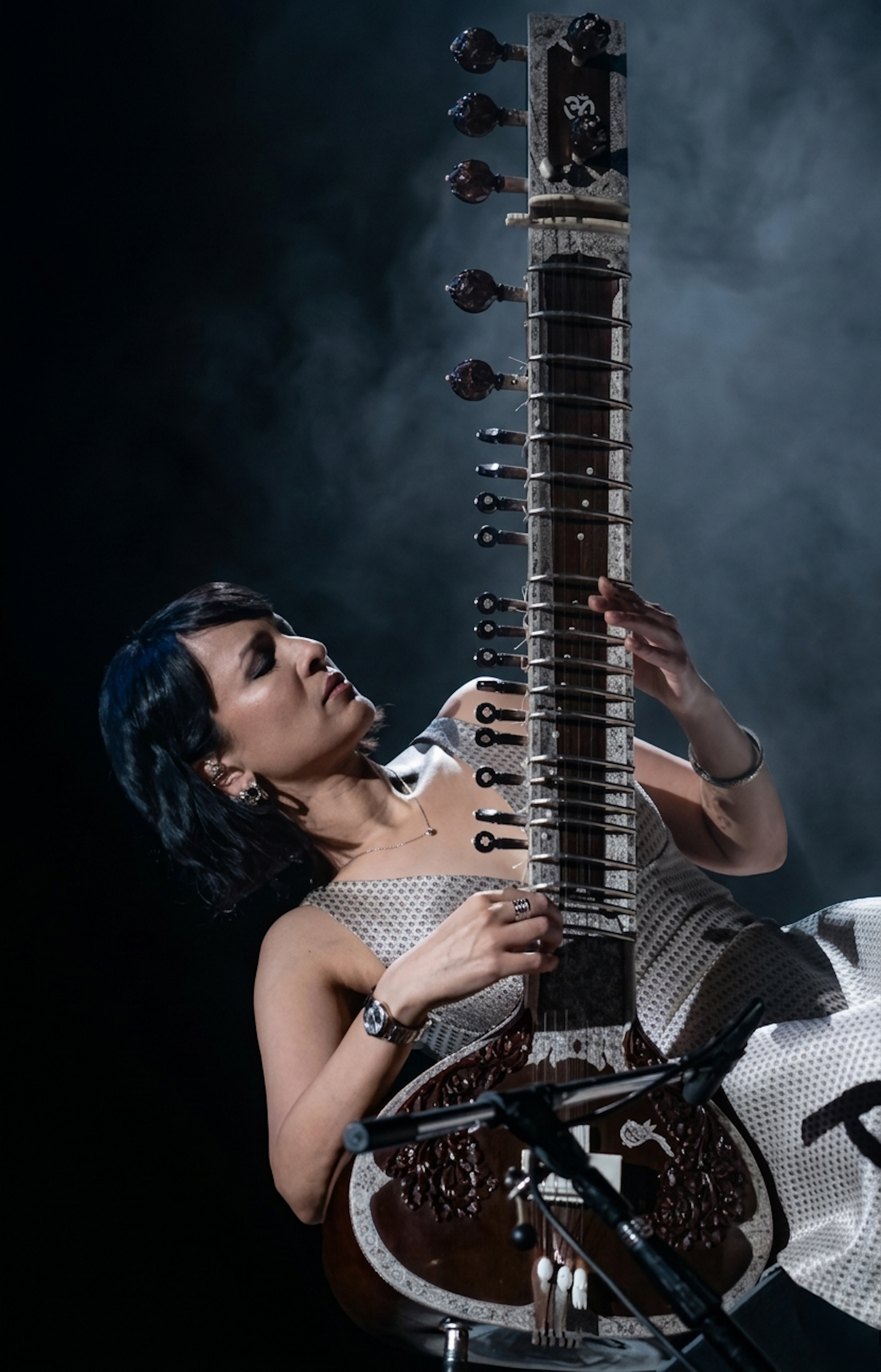 Anoushka Shankar - Concert for Santiago