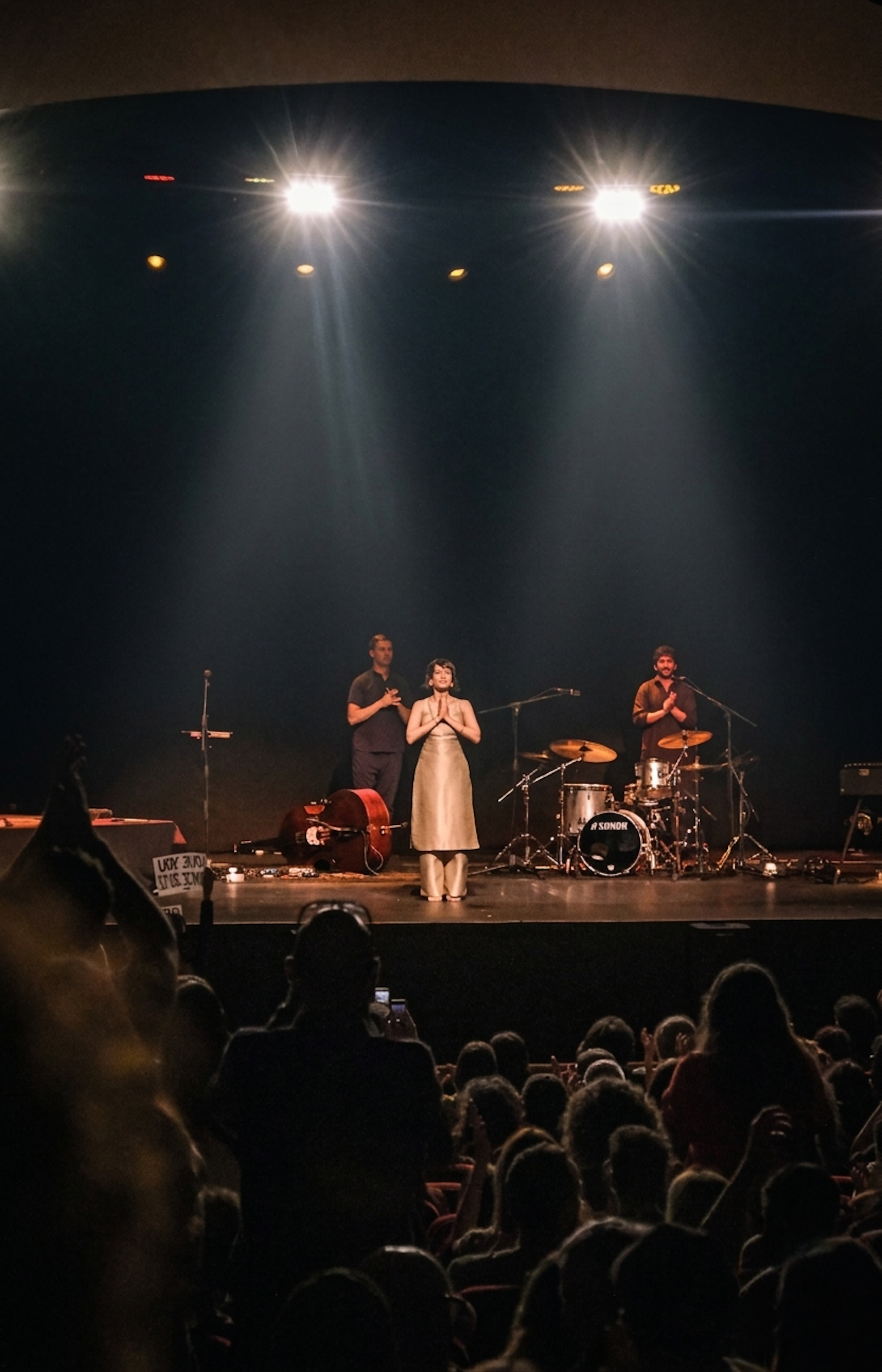 Anoushka Shankar - Concert for Santiago