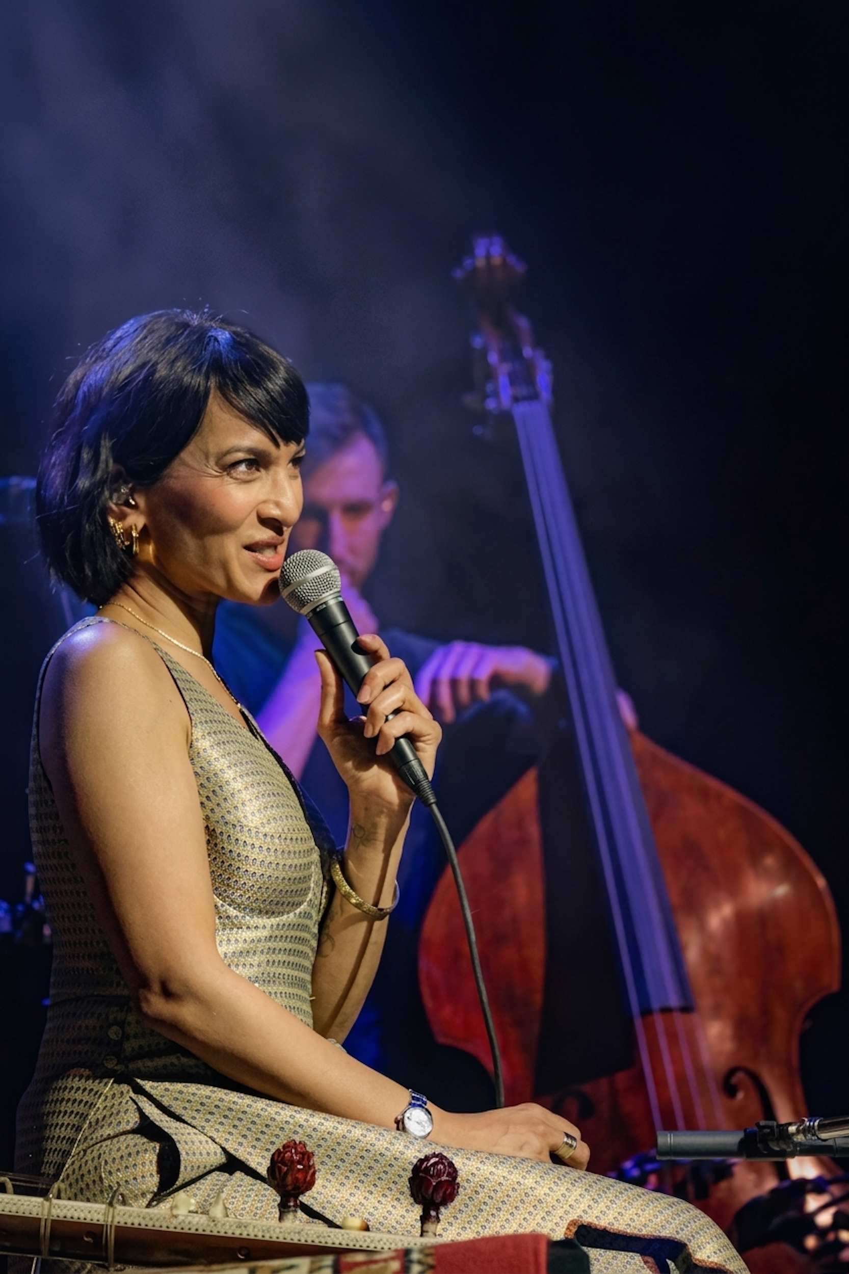 Anoushka Shankar - Concert for Santiago