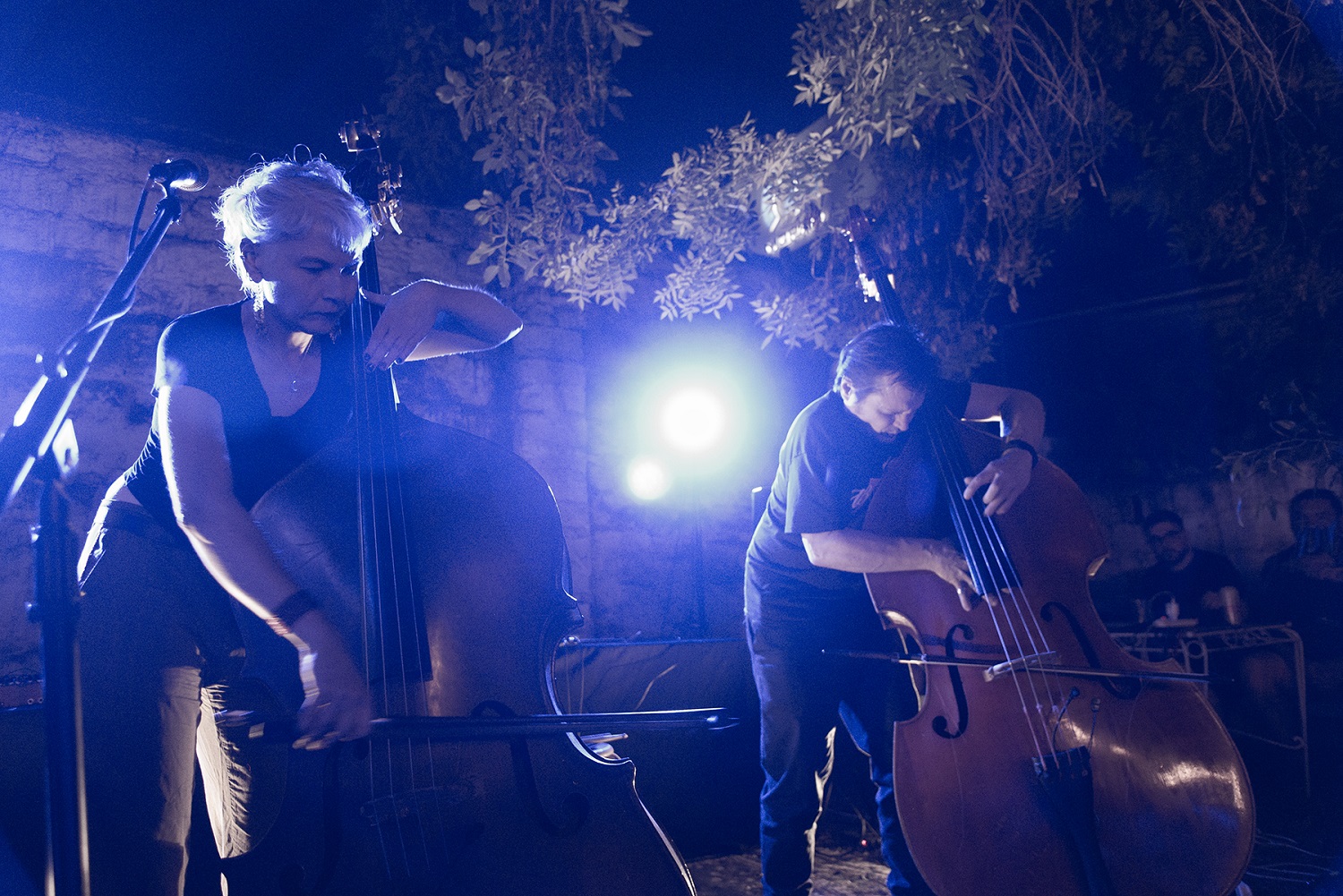 Trevor Dunn & Amanda Irarrázabal + Brakhage