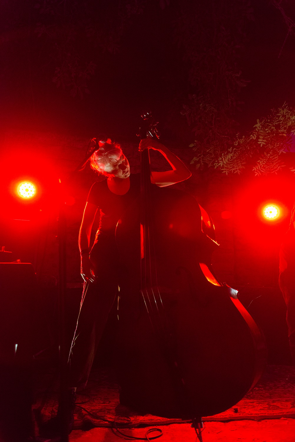 Trevor Dunn & Amanda Irarrázabal + Brakhage