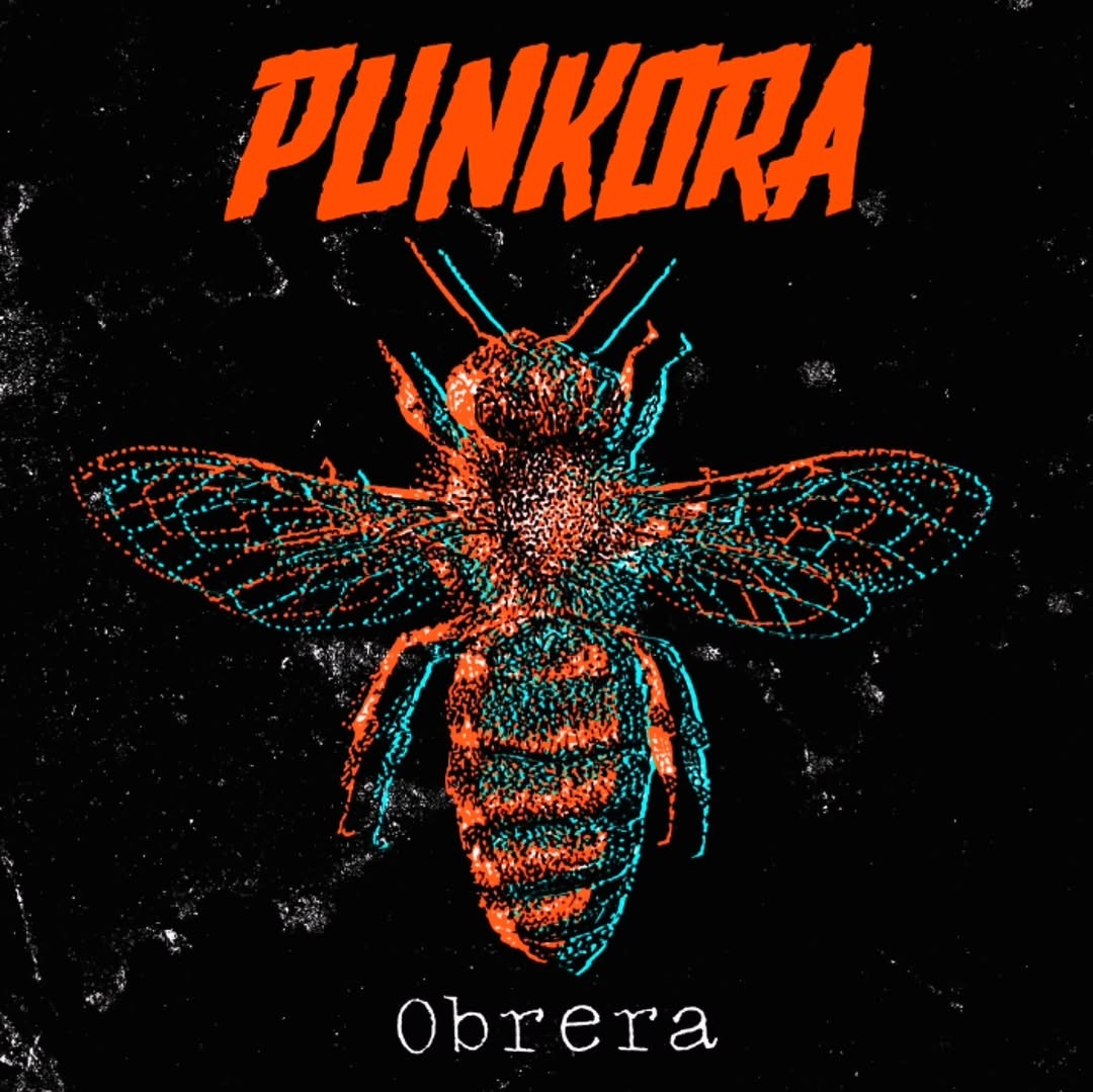 Punkora