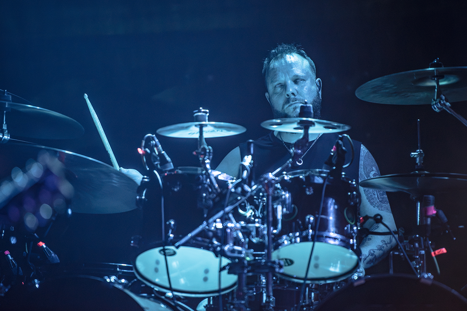 DSC_8555 copia.jpg