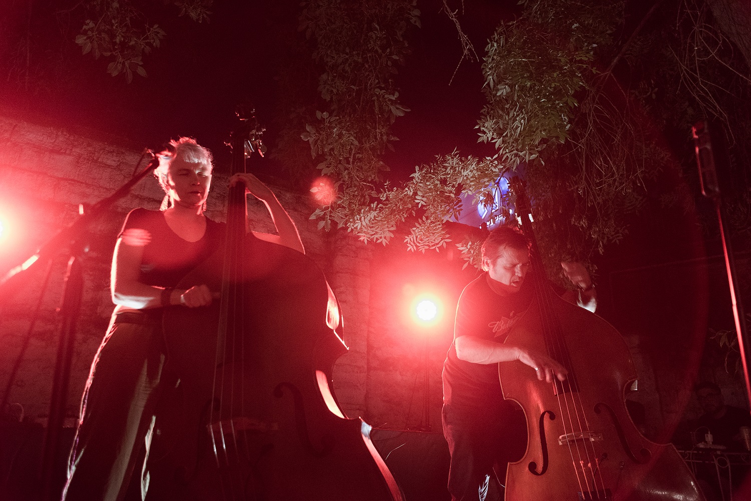 Trevor Dunn & Amanda Irarrázabal + Brakhage