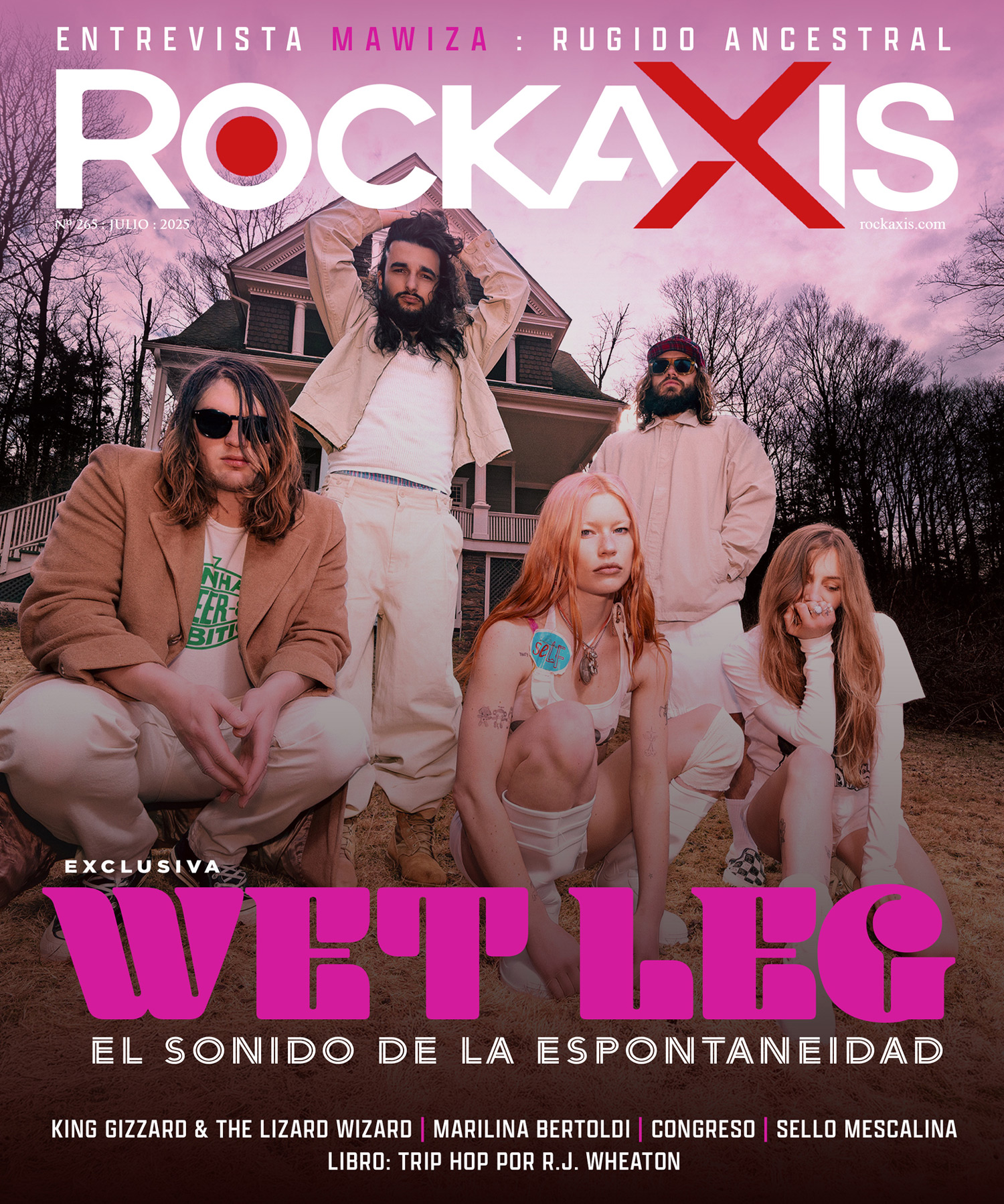 Rockaxis #265