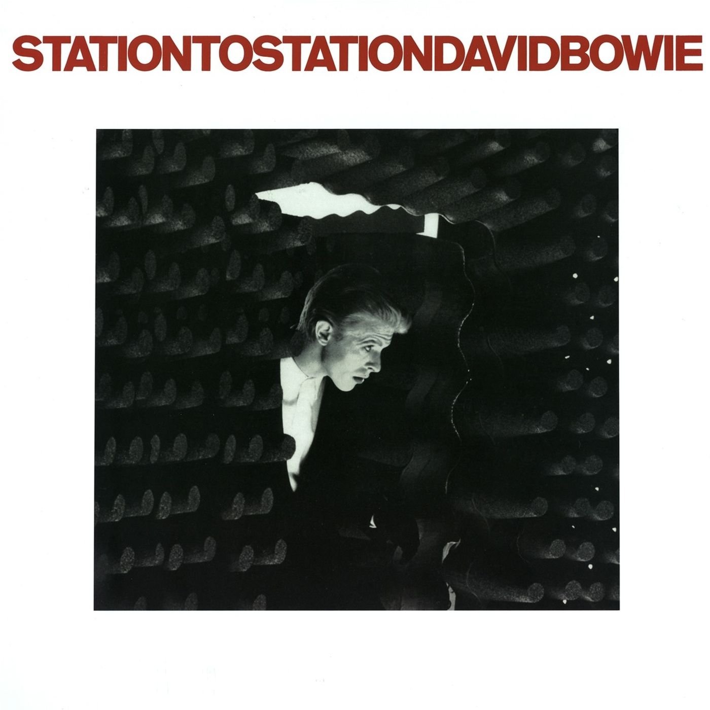 David Bowie